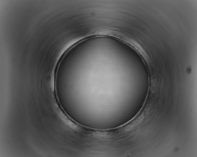 X0000101211036200807071333