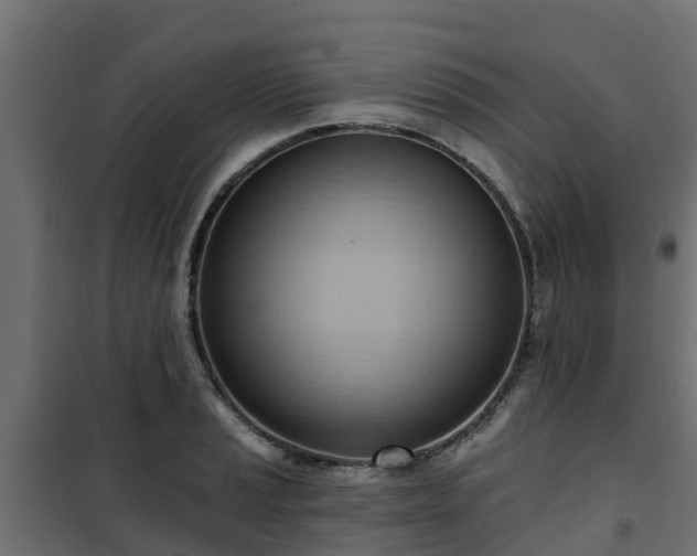 X0000101211037200807071333