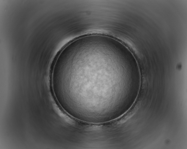 X0000101211038200807071333