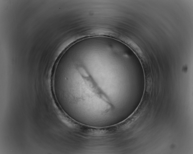 X0000101211039200807071333