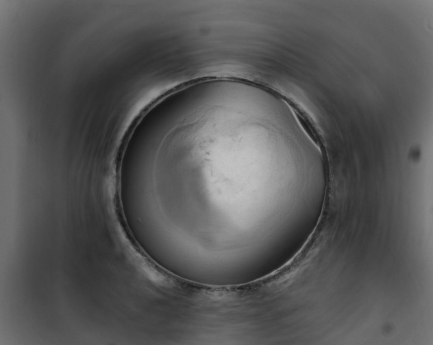 X0000101211040200807071333