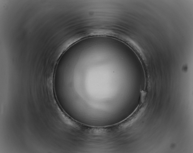 X0000101211041200807071333