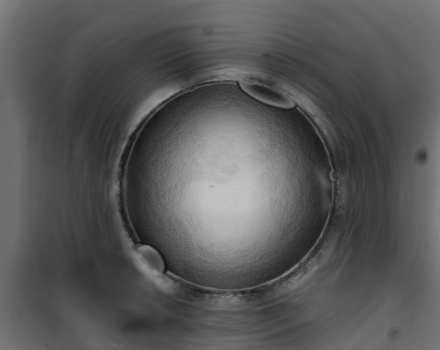 X0000101211042200807071333