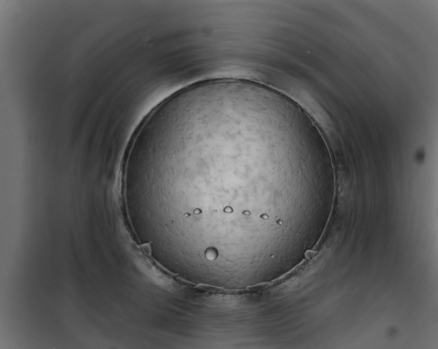 X0000101211044200807071333