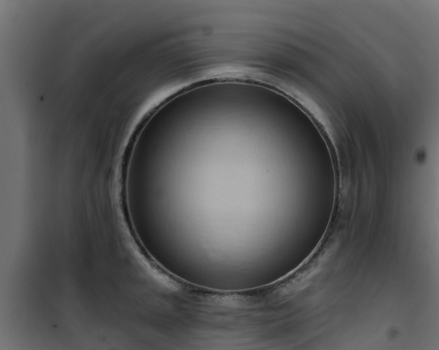 X0000101211045200807071334