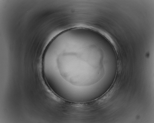 X0000101211048200807071334