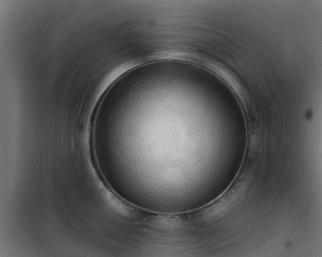 X0000101211050200807071334