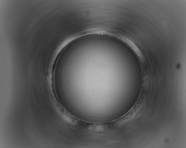 X0000101211051200807071334