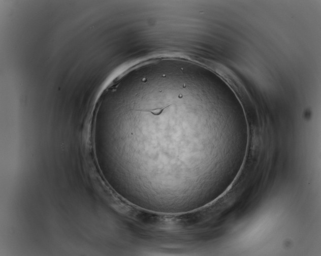 X0000101211052200807071334