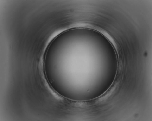 X0000101211053200807071334