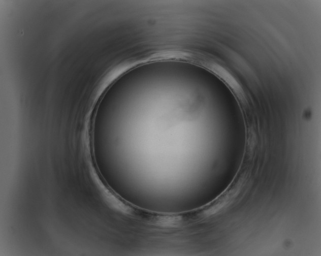 X0000101211055200807071334