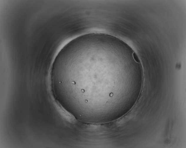 X0000101211056200807071334