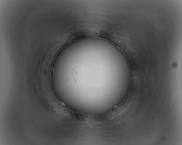 X0000101211057200807071333