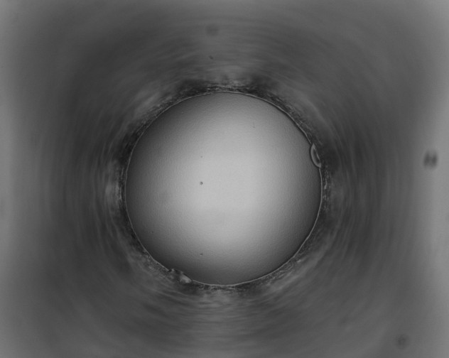 X0000101211058200807071333