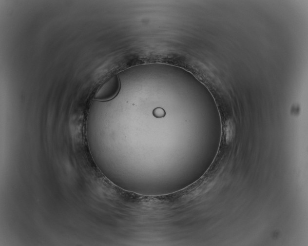 X0000101211059200807071333