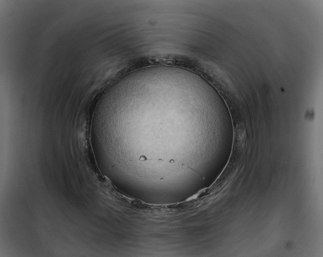 X0000101211060200807071333