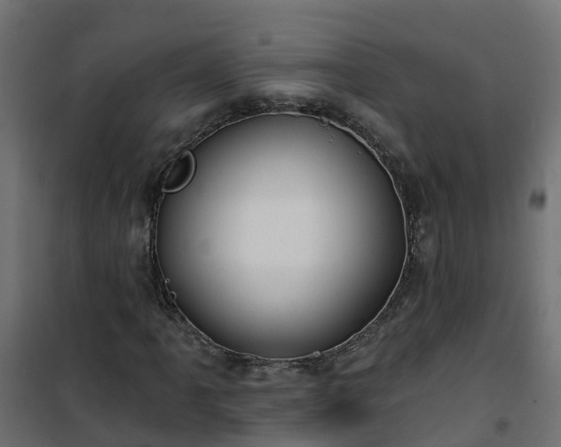 X0000101211061200807071333