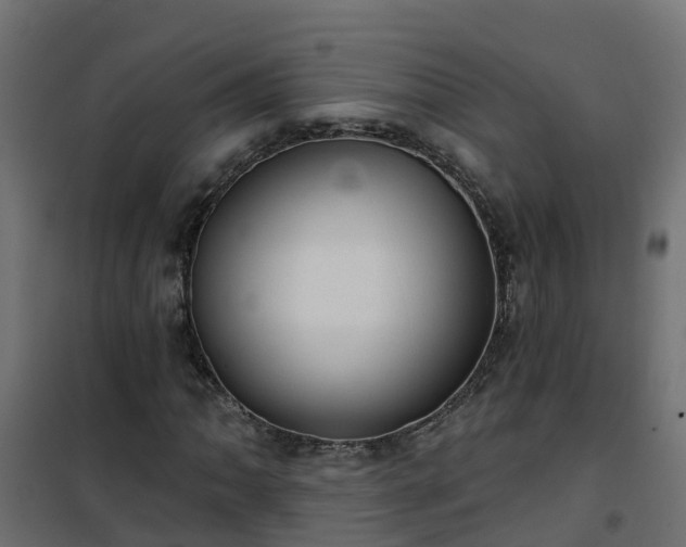 X0000101211062200807071333