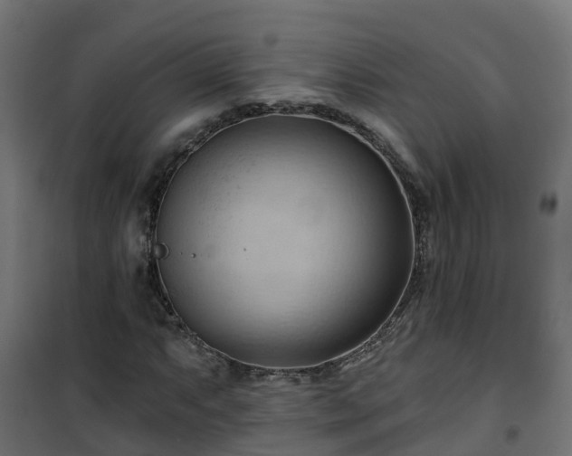 X0000101211063200807071333