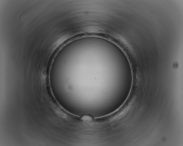 X0000101211065200807071333