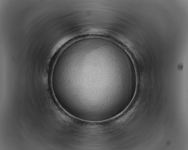 X0000101211066200807071333