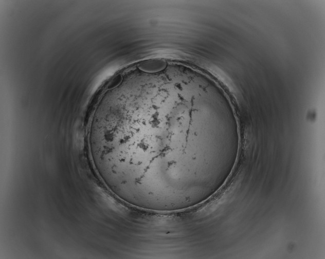 X0000101211067200807071333