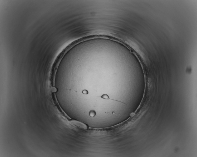 X0000101211068200807071333