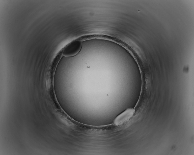 X0000101211069200807071333