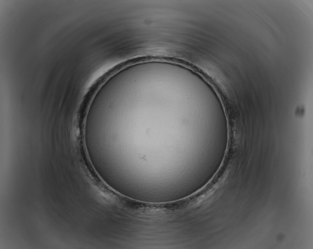 X0000101211070200807071333