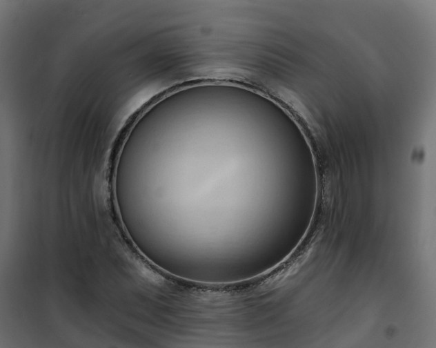 X0000101211071200807071333