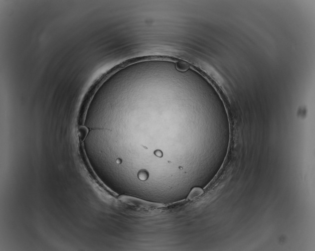 X0000101211072200807071333