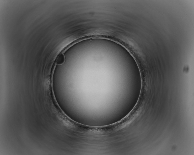 X0000101211073200807071333