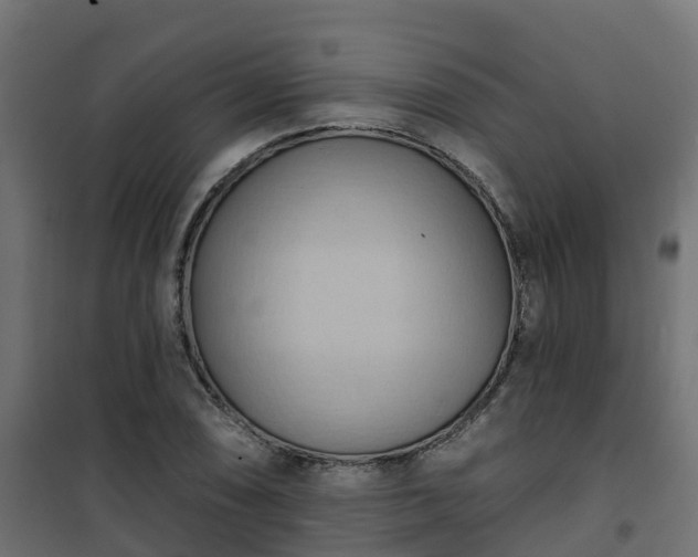 X0000101211074200807071333