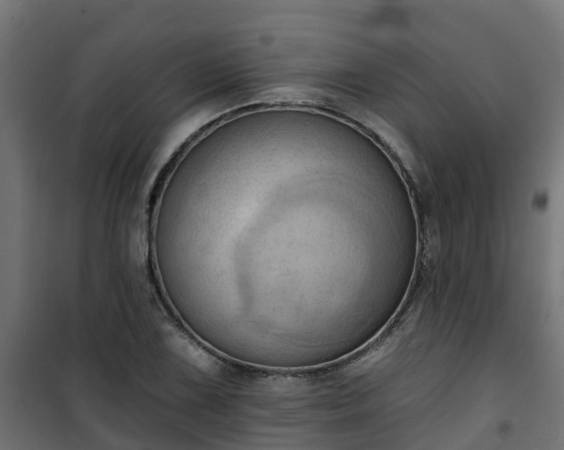 X0000101211075200807071333