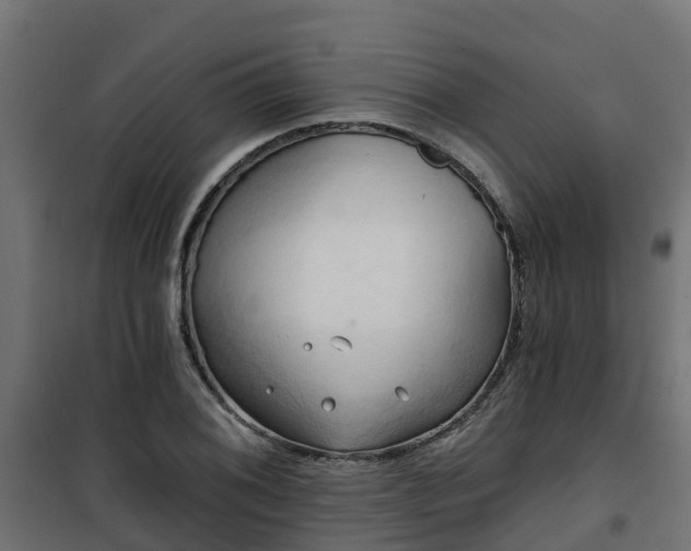 X0000101211076200807071333