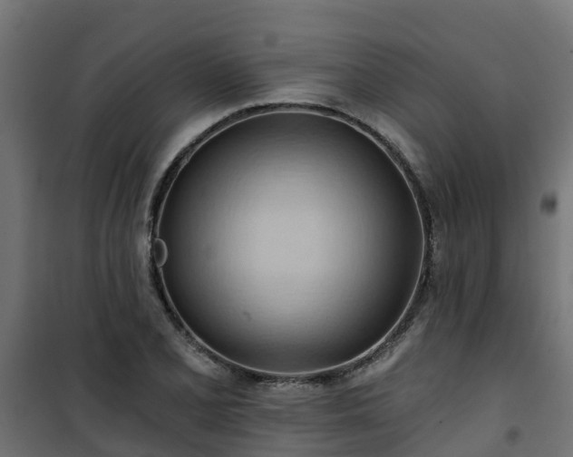 X0000101211077200807071333