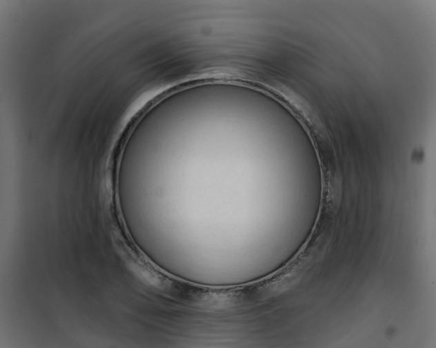 X0000101211078200807071333