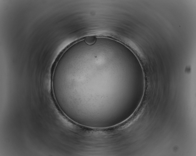 X0000101211079200807071333