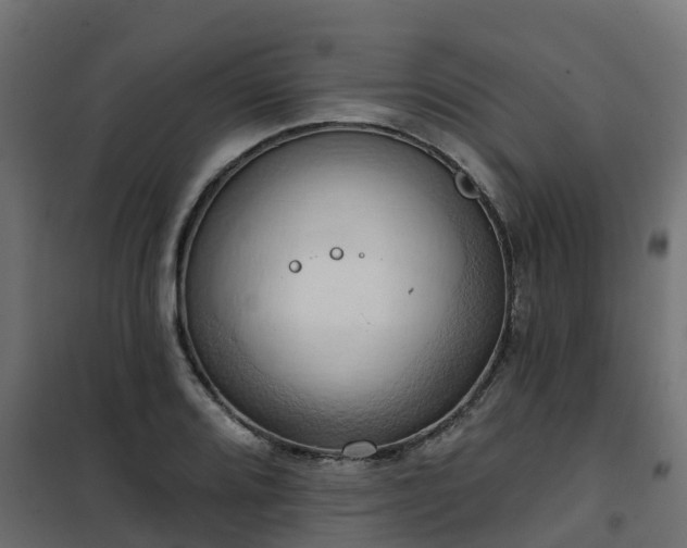 X0000101211080200807071333