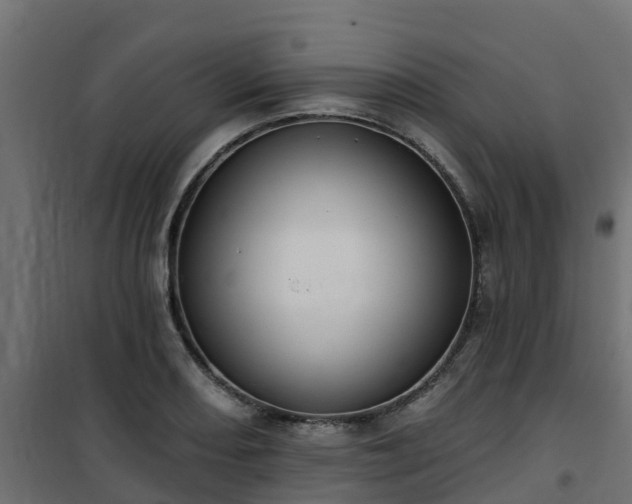 X0000101211082200807071333