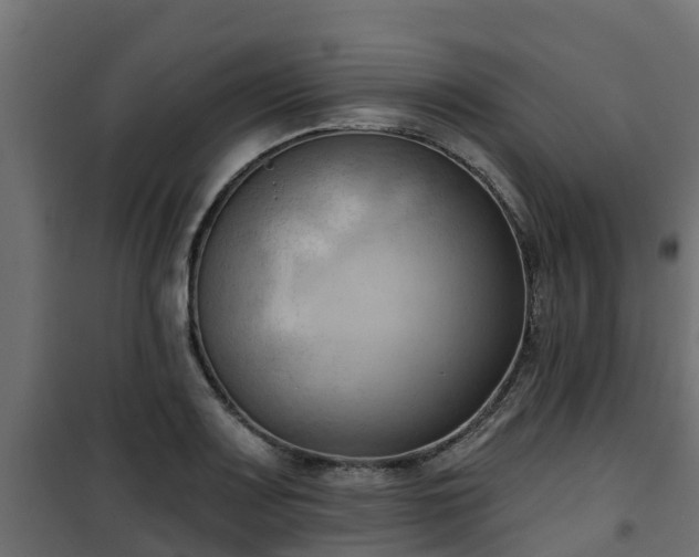 X0000101211083200807071333