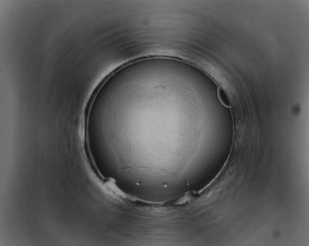 X0000101211084200807071333