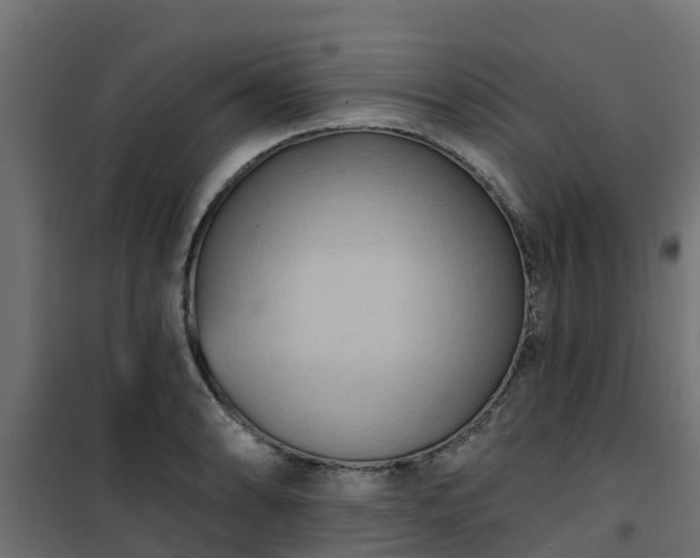 X0000101211086200807071333