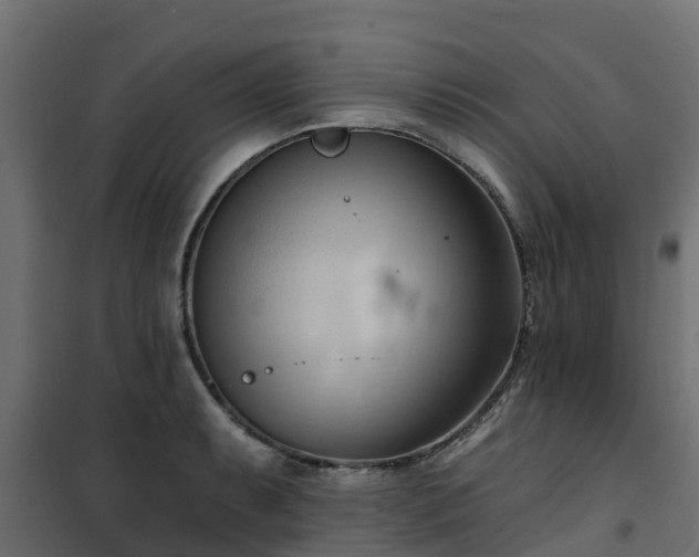 X0000101211087200807071333