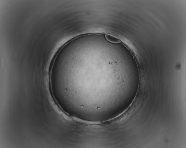 X0000101211088200807071333