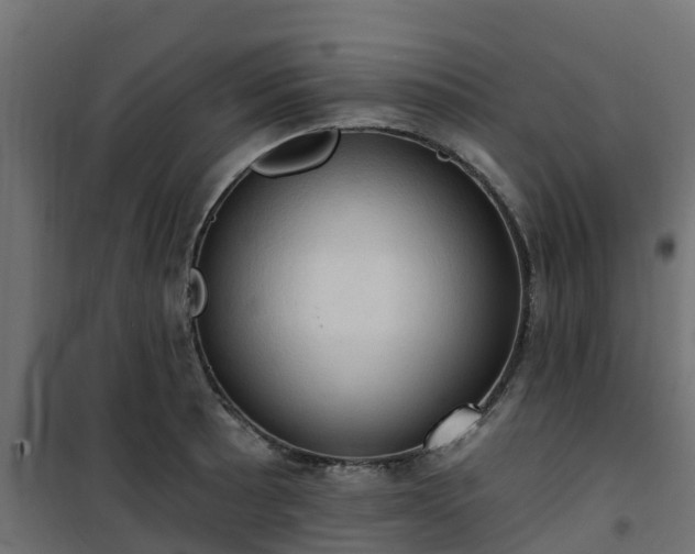 X0000101211089200807071333