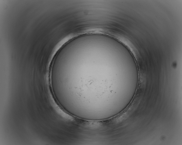 X0000101211090200807071333