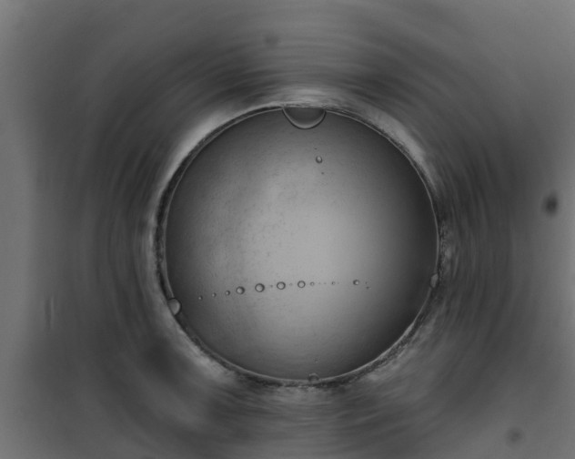 X0000101211091200807071333