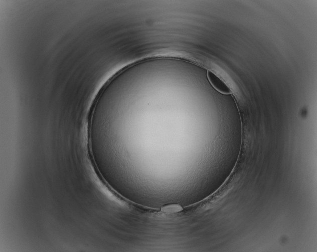 X0000101211092200807071333