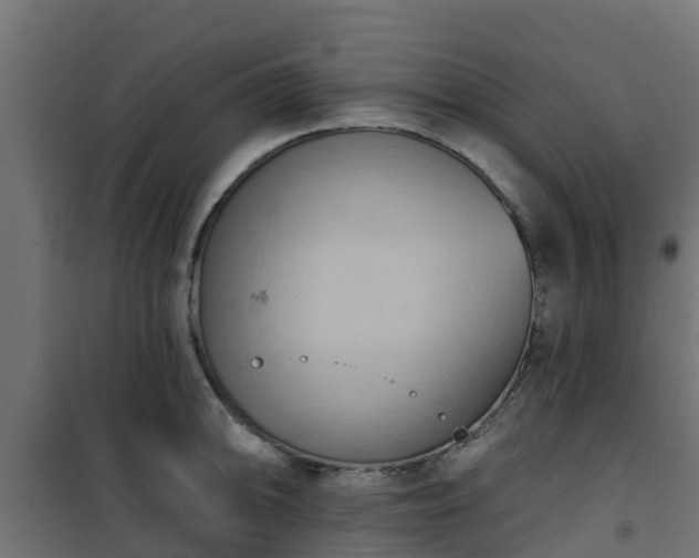 X0000101211094200807071332